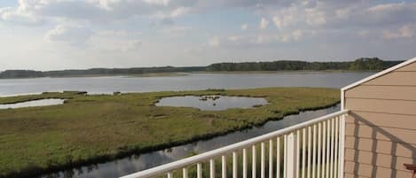 Views of the Wildlife Refuge