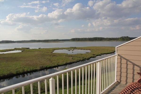 Views of the Wildlife Refuge