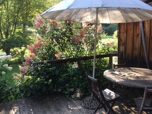 On the back deck the hydrangeas get higher than the umbrella in summer