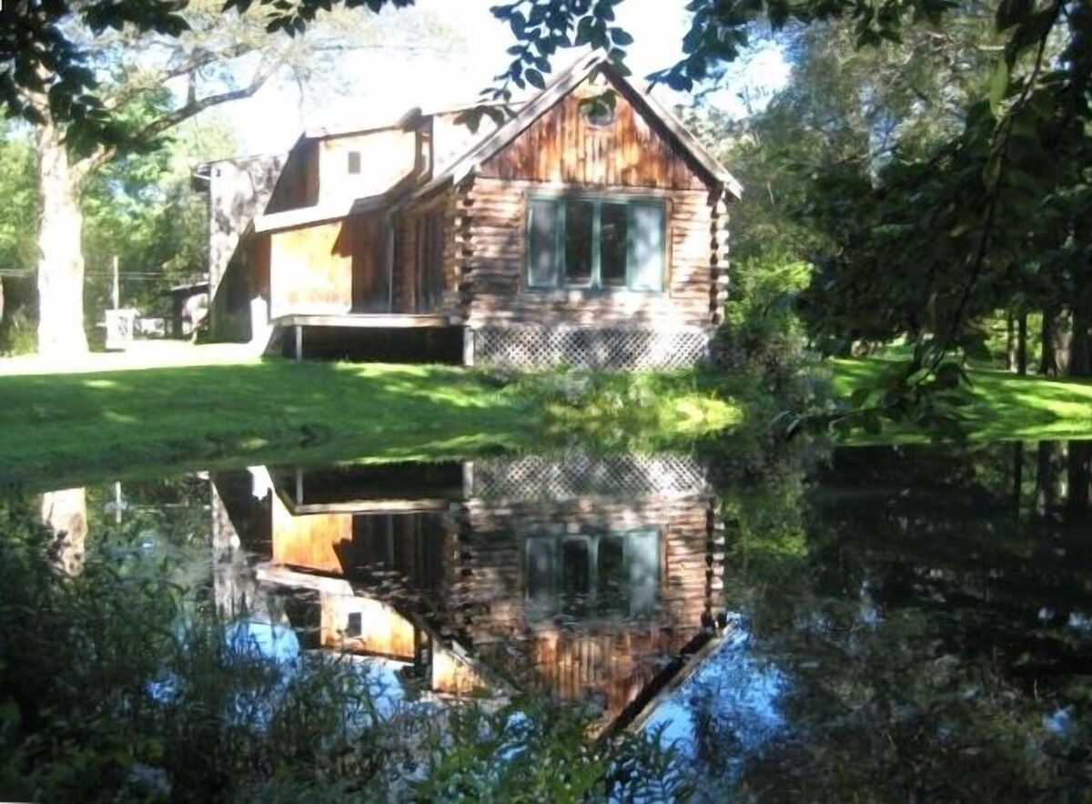 Main Image