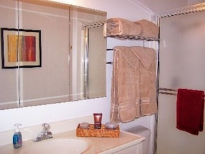 ~Private master Bedroom Bath with Double Shower~