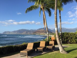 The backyard - your private paradise.