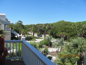 View from front porch.