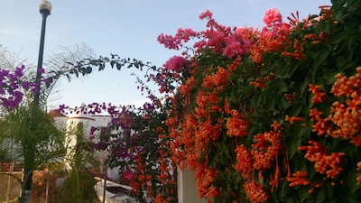 VILLA BOZENNA es un paraíso escondido en la zona residencial de Rincón de Guyabitos 