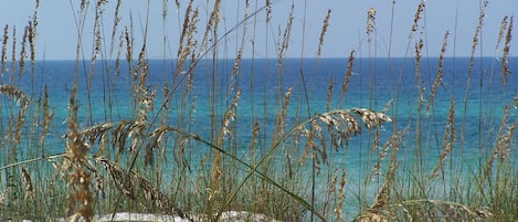 "Welcome to Sea Oats" at The Dunes of Panama 