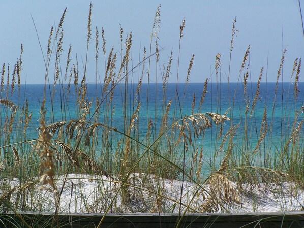"Welcome to Sea Oats" at The Dunes of Panama 