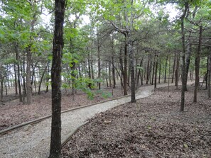 Groomed Walking Path to Shoreline and Dock