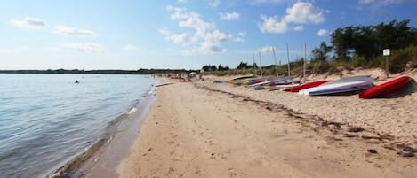 Beach in the backyard