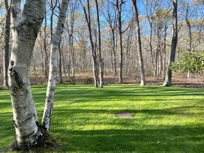 front yard