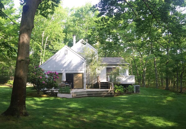 back deck