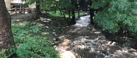 Overnattingsstedets uteområder