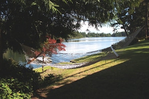 The view from the hammock, which stretches out directly under a cedar tree.