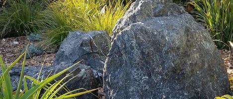 Our rock garden contains 50 tons of coastal rock from a local quarry