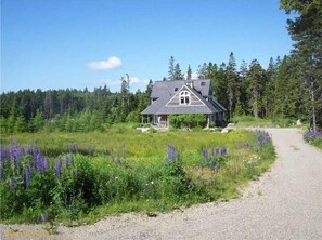 main approach to Roque House