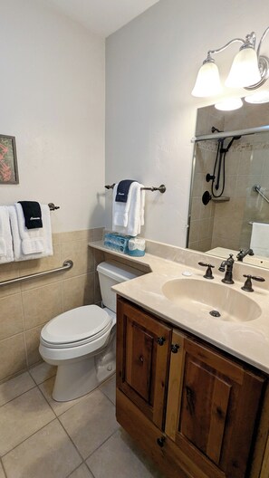 Master bathroom vanity & toilet