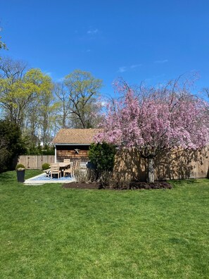 Backyard - Grill & Outdoor dining
(Pool area beyond detached garage)
