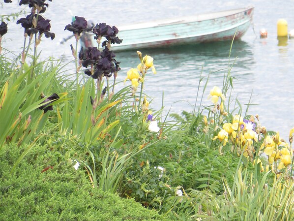 Springtime view.
