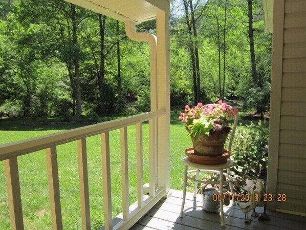 View of the river from the front porch.