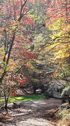 Coming down the driveway, you get your first glimpse of the cottage.