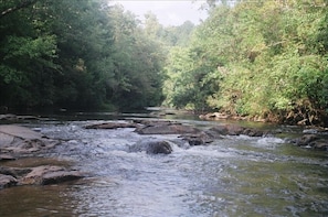 View from our natural sand beach, looking up river.