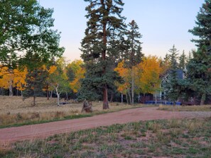 Fall colors at Kickin Aspen
