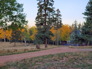 Fall colors at Kickin Aspen