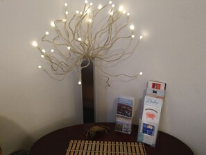 Lamp and Brochures for Restaurants, Beaches, Activities