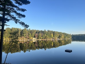 View from family room