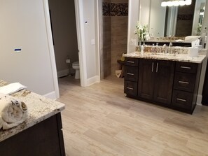 Master main level bathroom