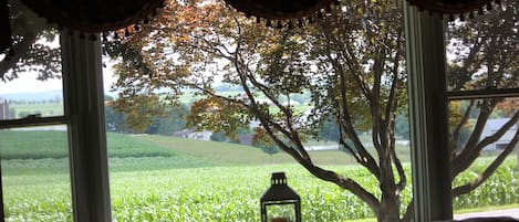 Vista da propriedade