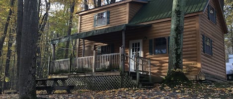 Cabin 8 - fire pit, propane BBQ, fire pit