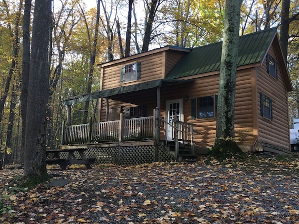 Cabin 8 - fire pit, propane BBQ, fire pit