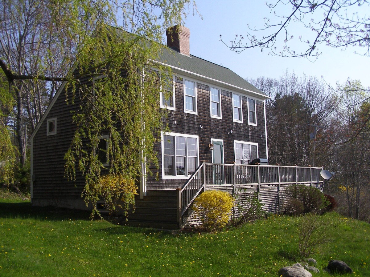 Main Image