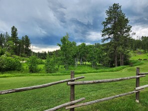 Vista dalla struttura