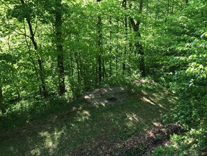 Small clearing in front of cabin.