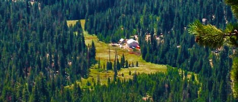 Annie's Piggly Pines from Needle Rock Ridge