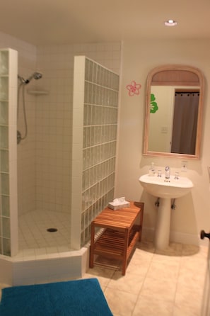 Downstairs bathroom, walk in shower