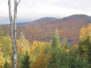 Terrain de l’hébergement 