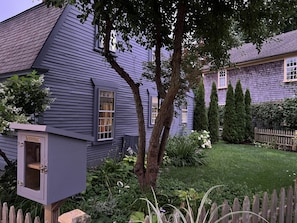 Side yard