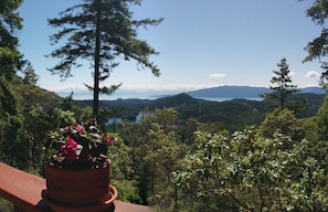 View from deck