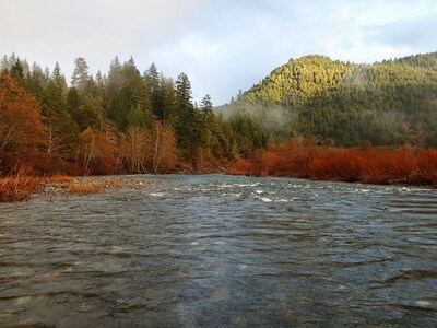 The Chetco River Inn Cottage-PRIVATE River Frontage, 36 acres-Relax, Swim, Fish