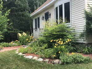 Day lillies and goatsbeard