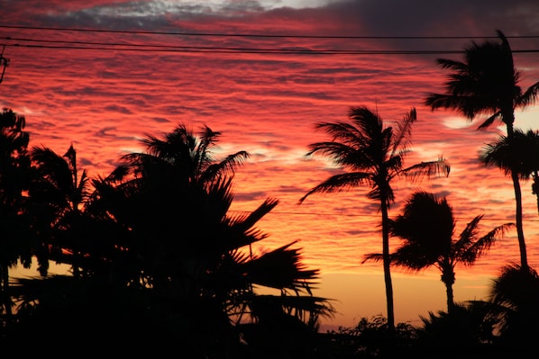 Sunset from the lanai
