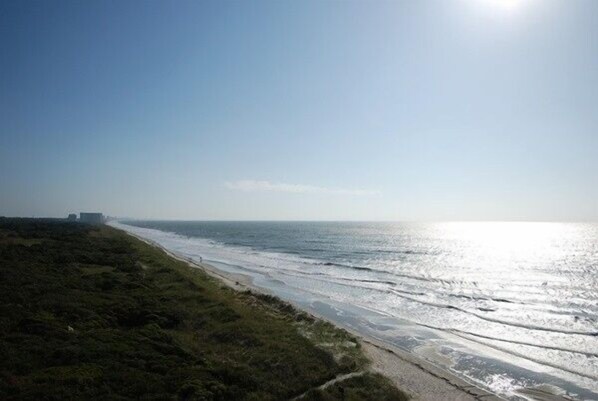 1.5 Miles of Undeveloped Beach.......You Could Be Here !