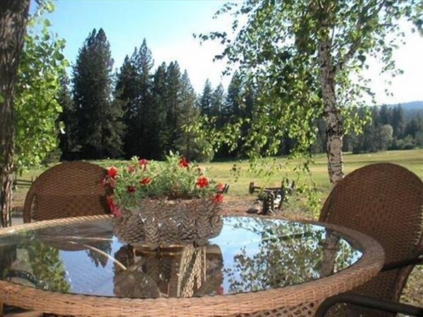 Our back deck is right on the meadow  :)
