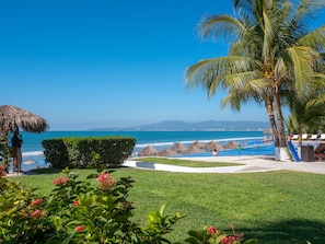 Gardens around the pool area