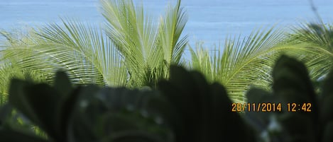 Vue sur la plage/l’océan