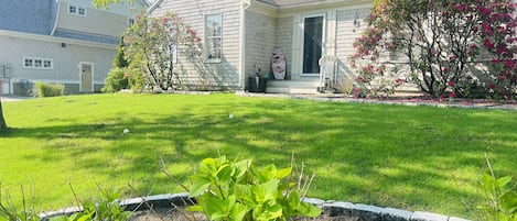 New Grass yard 