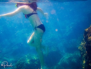 Go snorkeling -- most places are free