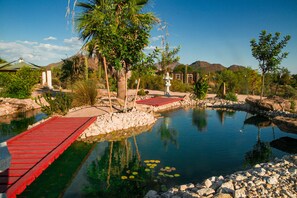 Our Koi pond welcomes you as you pull onto this private 5 acre property.